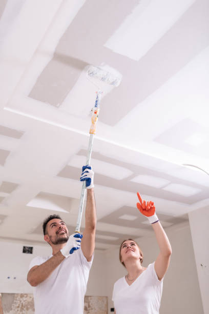 Best Ceiling Drywall Installation  in Sleepy Eye, MN